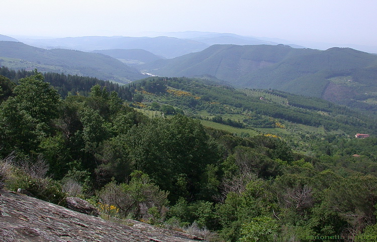 Licheni di Poggio Ripaghera